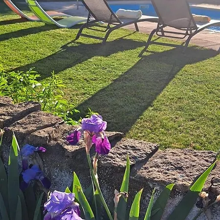 Alto Do Sobreiro Escalos de Cima