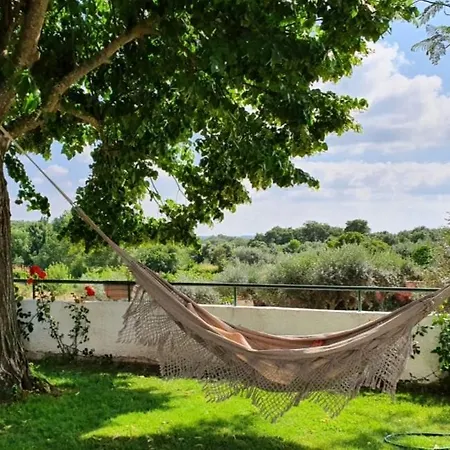 Alto Do Sobreiro Holiday home