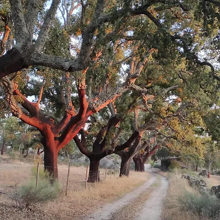 Alto Do Sobreiro * Escalos de Cima