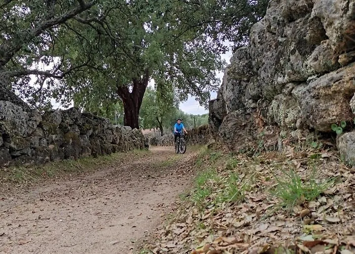 Alto Do Sobreiro * Escalos de Cima