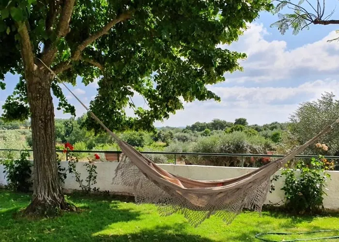 Alto Do Sobreiro Semesterbostad
